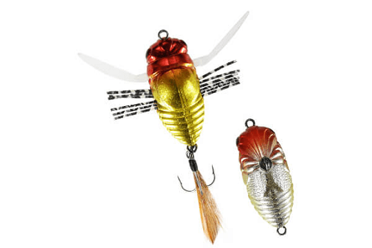 Duo Realis KO Shinmushi Cicada 30mm surface lure - tackleaddiction.com.au