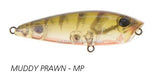 Atomic Hardz POP 50 Surface lure - tackleaddiction.com.au